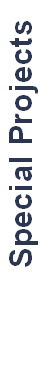 Special Projects 